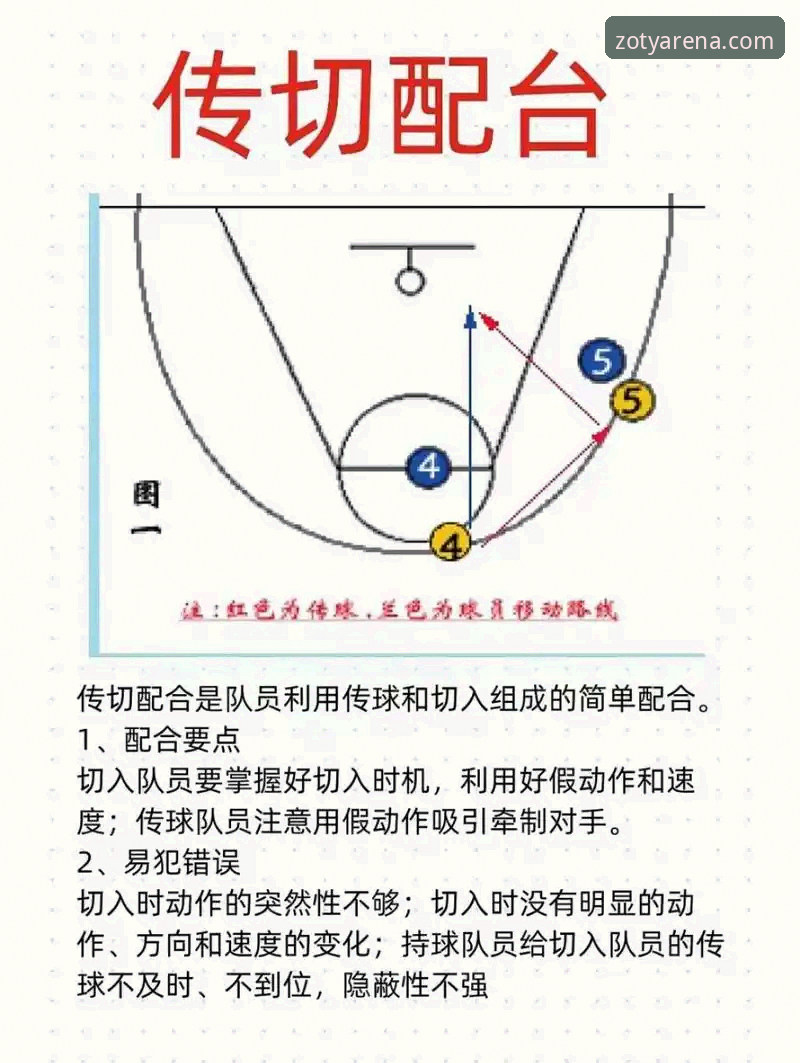 中欧体育篮球竞猜教程：从入门到精通的完整操作指南